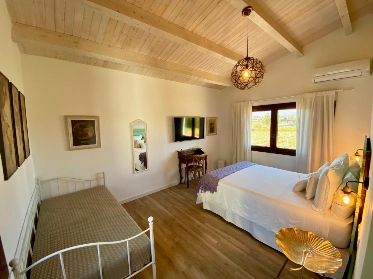 Bed & Breakfast Wine & Cooking Penedes Pla del Penedès Exterior foto