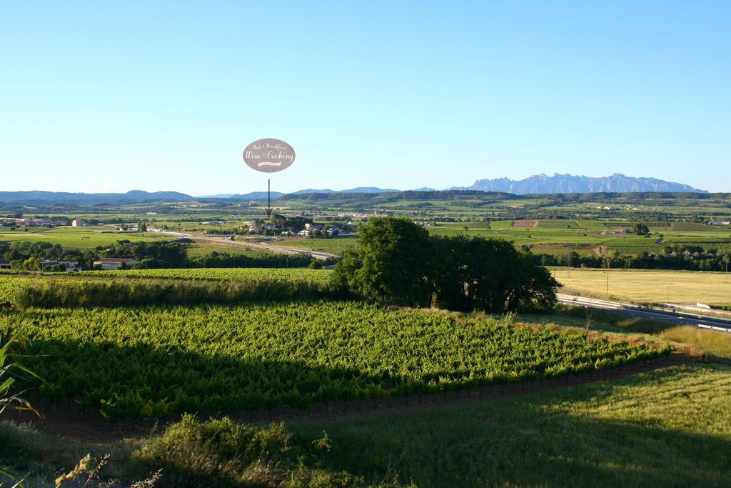 Bed & Breakfast Wine & Cooking Penedes Pla del Penedès Exterior foto